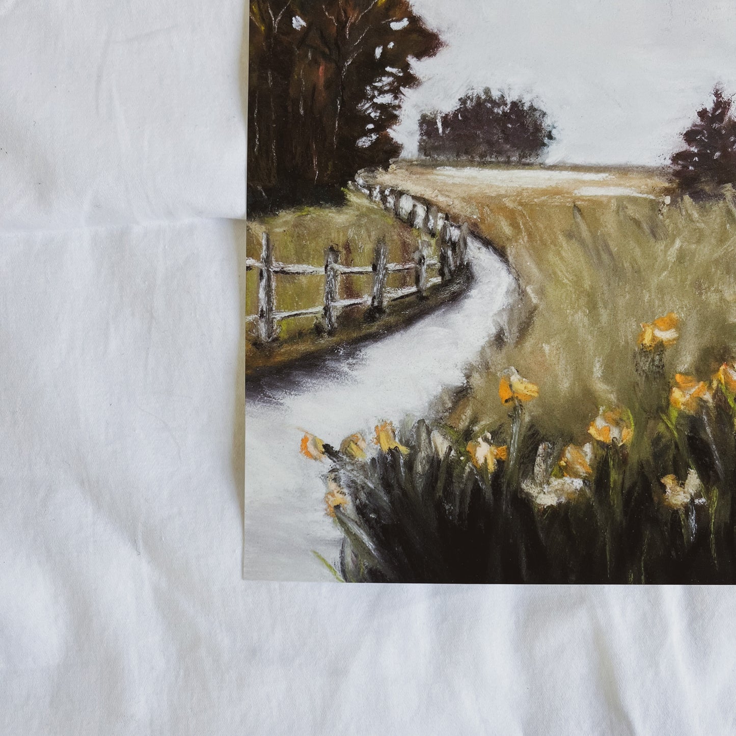 Fields of Light - limited edition