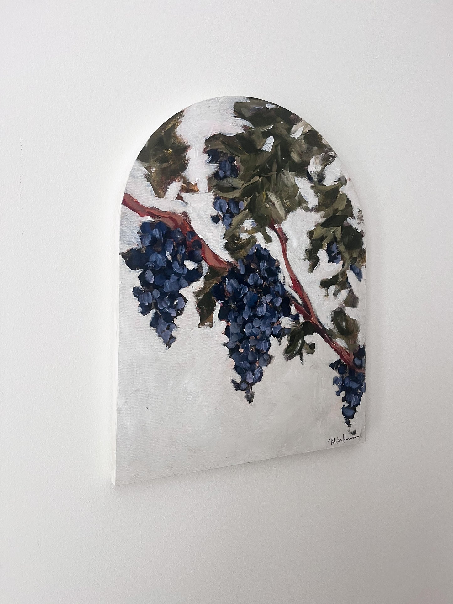 Grape Vine