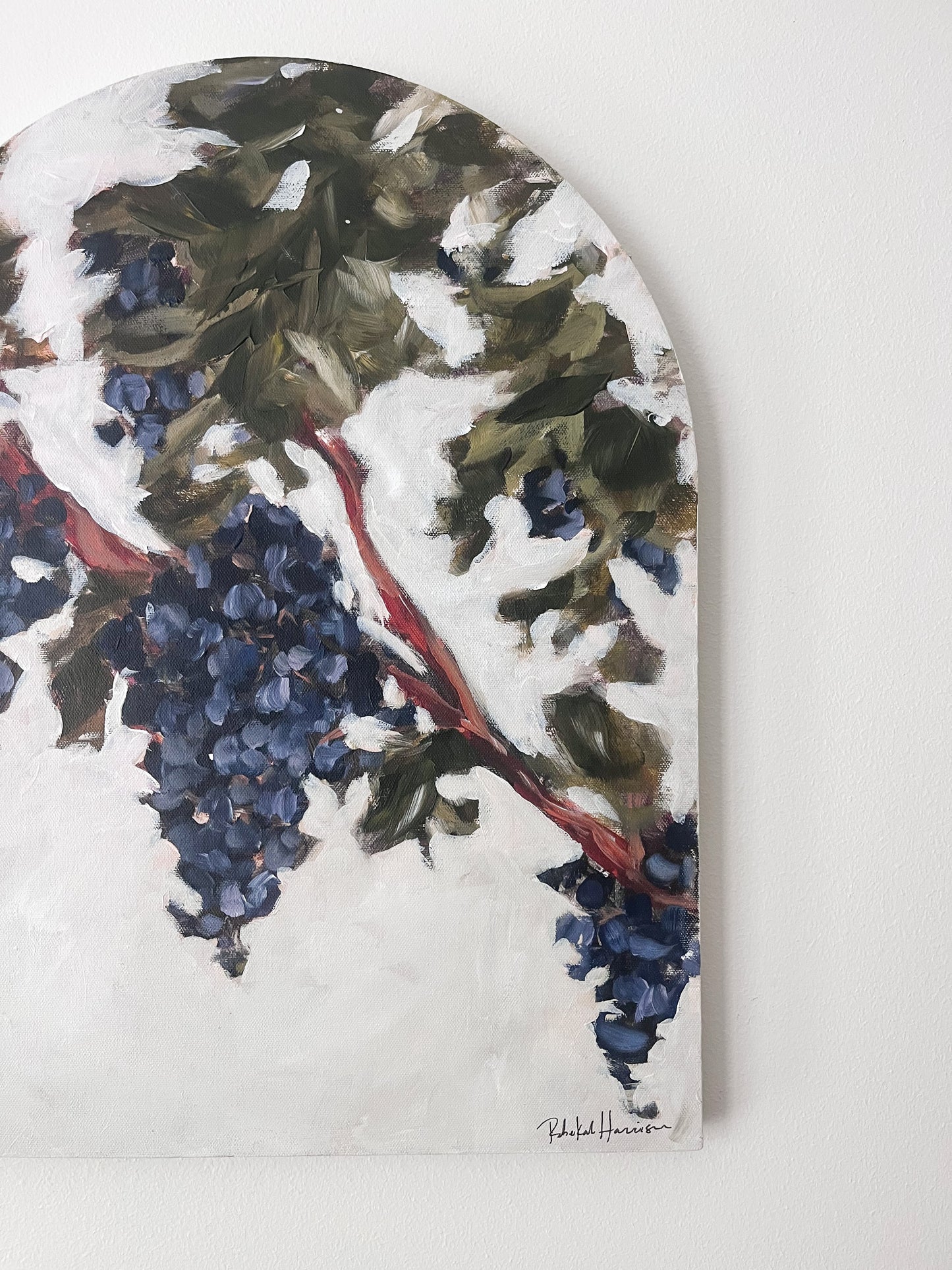 Grape Vine