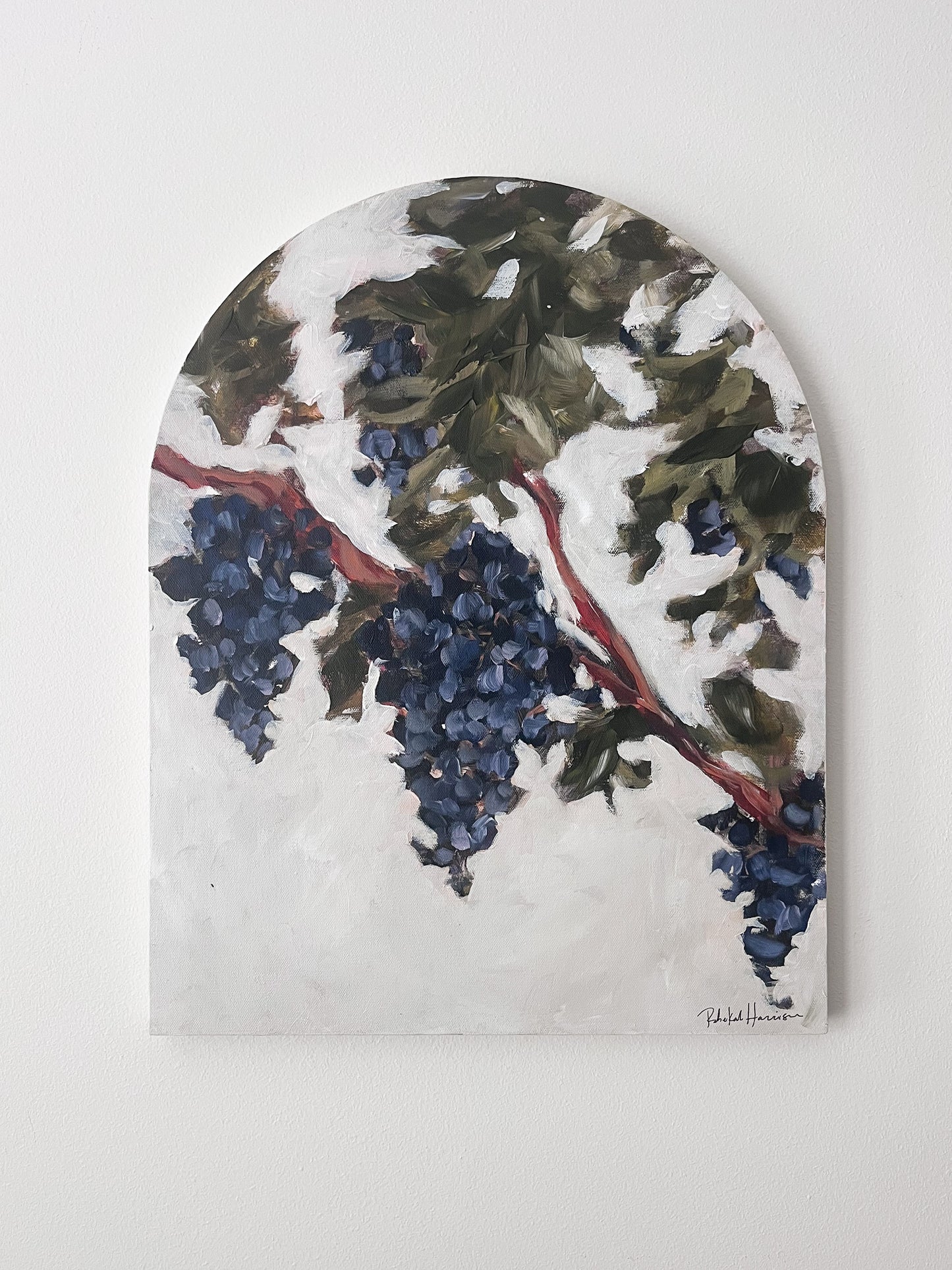 Grape Vine