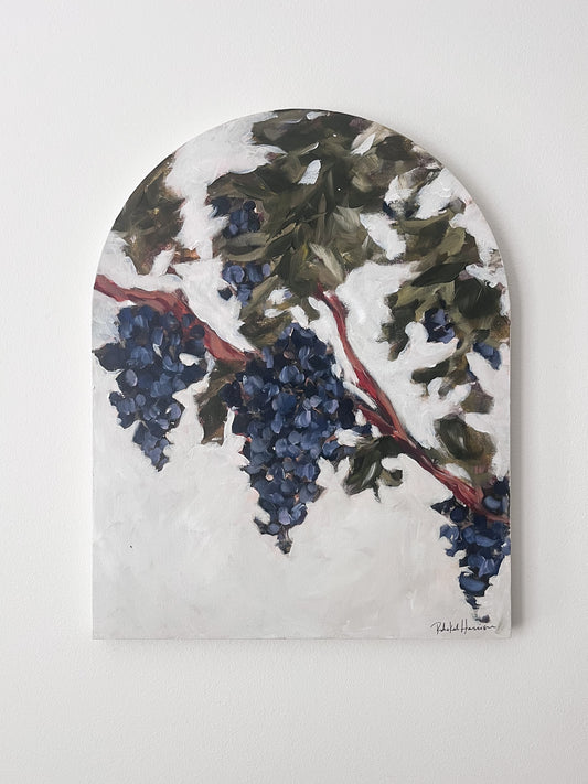 Grape Vine
