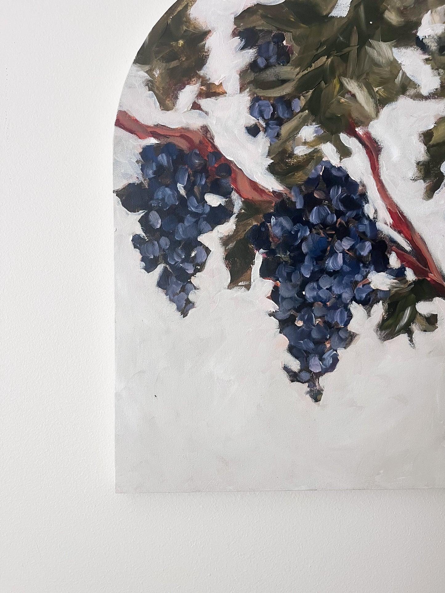 Grape Vine