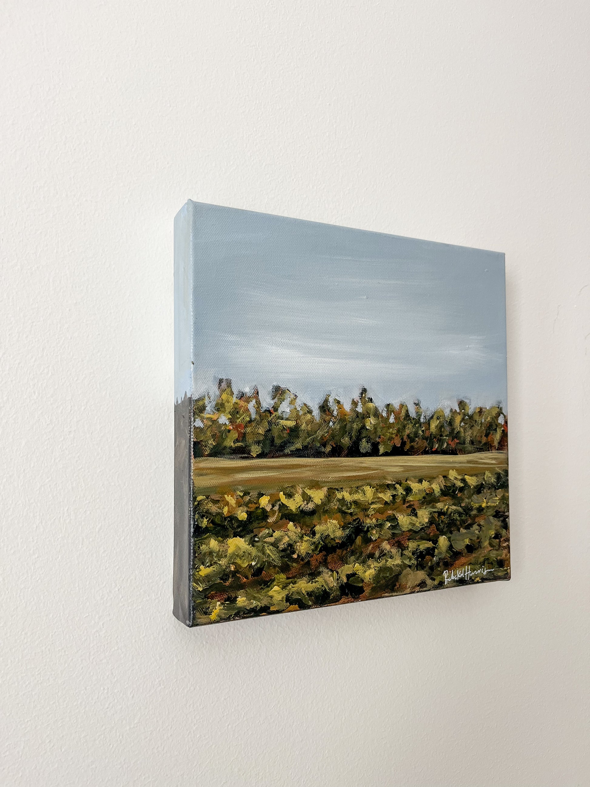 warm landscape crop field painting